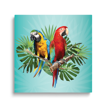 BIRDS